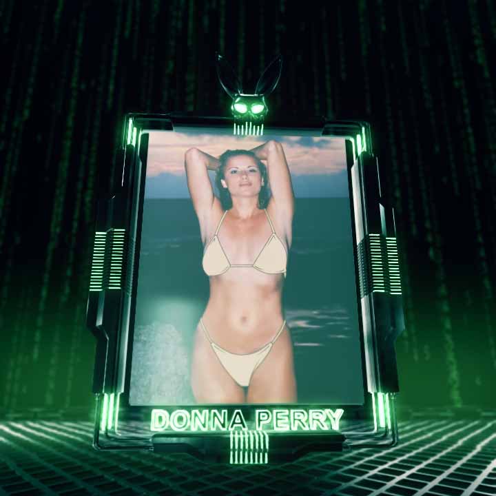 1194 Donna Perry Common Bikini asset